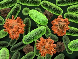 microbes