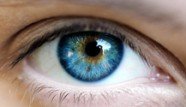 yeux