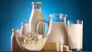 lactose