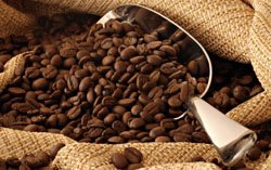 Cafeine Cafeine