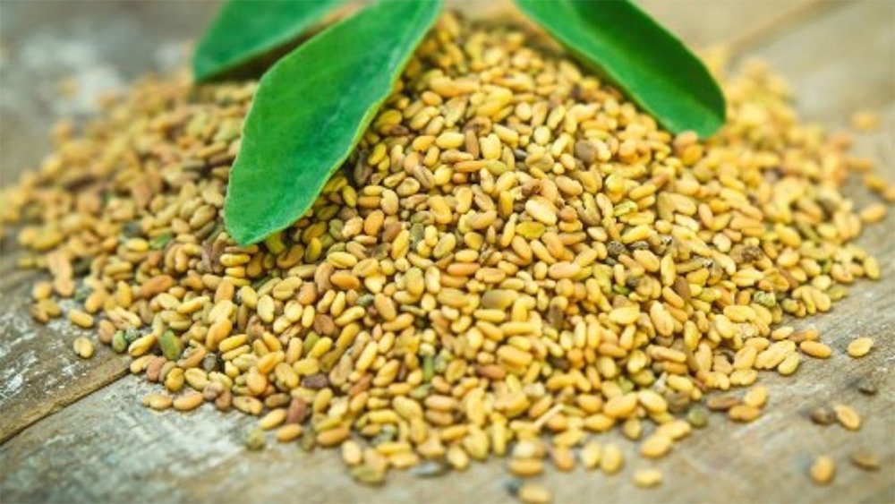 Les bienfaits de la graine de fenugrec Nutrilife Blog Santé